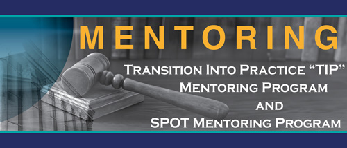 Spotlight on Mentoring: LingPerfect Translations & Bayer - Disability:IN