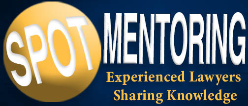 Spot Mentoring